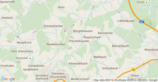 Karte Pleizenhausen