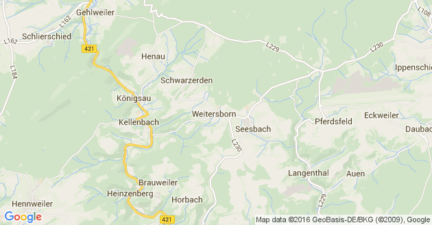 Karte Langenthal im Hunsrück